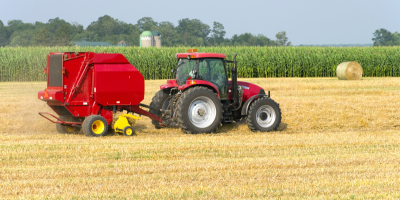 Agricoltura Ed Allevamento